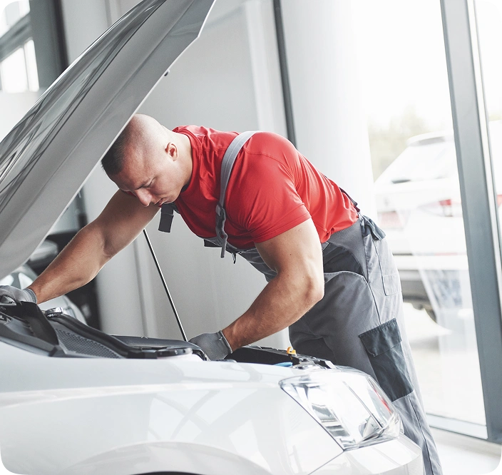 Glance at Inspection